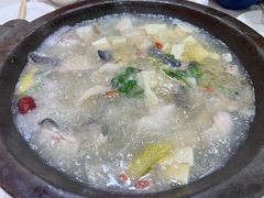 -田园石锅鱼