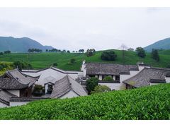 -帐篷客·溪龙茶谷度假酒店