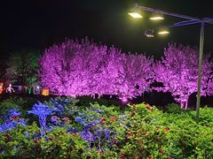 -洛阳市隋唐城遗址植物园