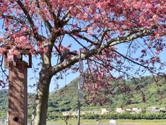 -风云岭森林公园