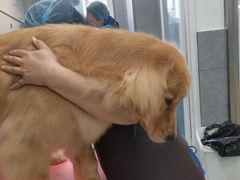 -宠福鑫康馨动物医院·骨科·眼科