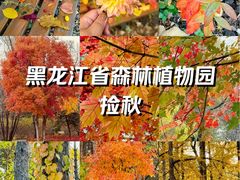 -黑龙江省森林植物园