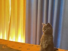 -佳雯宠物医院·皮肤科·内外科(春晓路分院)