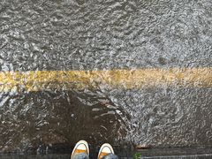 -华侨城湿地公园