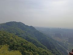 -南山植物园