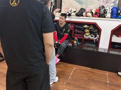 -温鉴良实用咏春拳