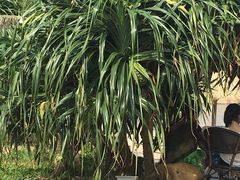 -那琴半岛地质海洋公园