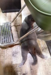 -青木造型HAIR·あおき髪を刈る潮人店