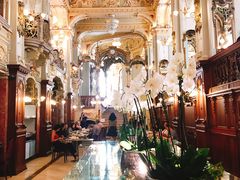 大堂-纽约咖啡馆