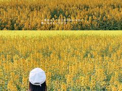 -中国天府农业博览园