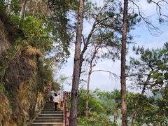 -羚羊峡古栈道森林公园