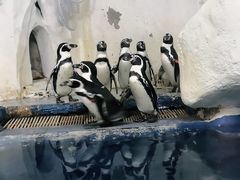 -太平洋海底世界