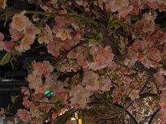 -绿茶餐厅(昌平悦荟店)