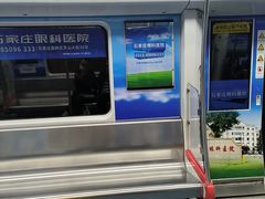 -河北省园博园