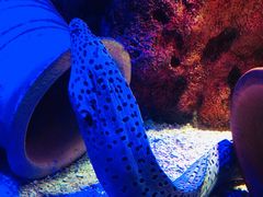 -沈阳海洋探索中心