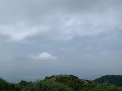 -梧桐山风景名胜区