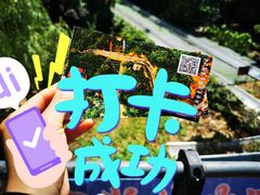 -富斯特索道