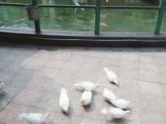 -南昌动物园