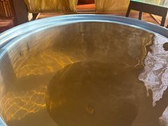 -春晖园度假酒店温泉