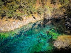 -叠溪松坪沟景区