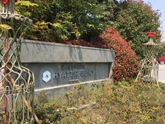 -上海崇明金茂凯悦酒店