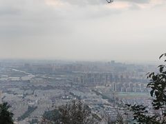 -惠山国家森林公园