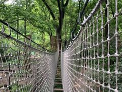 -紫金山索道-售票处