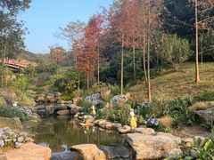 -云溪植物园