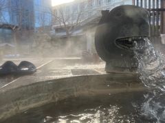 -中家鑫园温泉酒店鑫悦汤泉