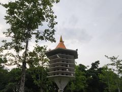 -顺峰山公园