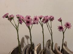 -瓦库茶馆17号(海汇港店)