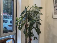 -八马茶业(星海胜利路旗舰店)