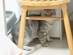 -瑞派康怡24h宠物医院·犬猫医疗中心·微创绝育(瑞景分院)