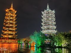 -椿记烧鹅(叠彩店)