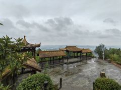 -铁山坪森林公园