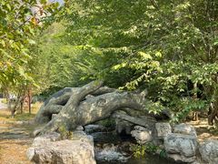 -十渡东湖港风景区