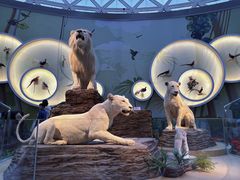 -陕西自然博物馆