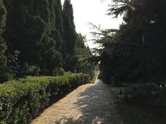 -秦始皇帝陵博物院-丽山园