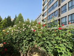 -雪绒花月子会所(祥盛店)