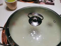 -洪氏嗨捞·猪肚鸡火锅(阳光天地店)