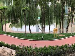-雁滩公园