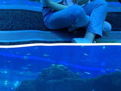 -成都浩海立方海洋公园