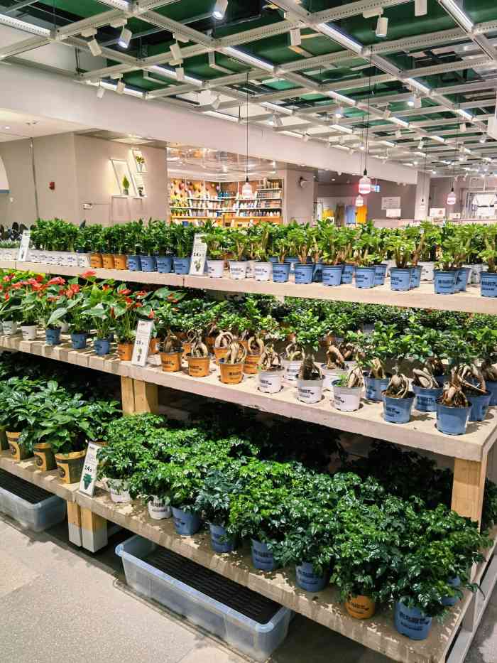 鹿岛园艺(朝天门来福士店)-"超治愈的店铺,强迫症患者福音,商品陈列很