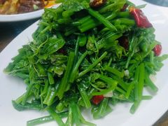 丝瓜尖-喜林苑·稻田餐厅(品相府店)