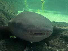 -常州海昌海洋探索馆