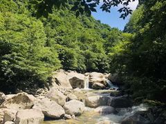 -青峰峡国家森林公园