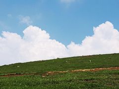 -大姆山草场