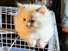 -济南高新万达广场