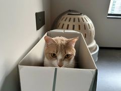 -宠颐生宠物医院外科·内科·皮肤科·影像科(石龙店)