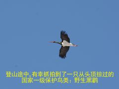 -龙泉峪长城